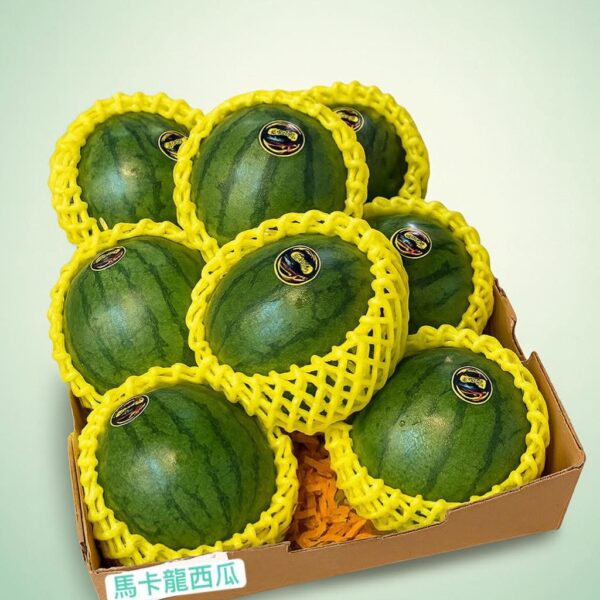 IMG_0129 馬卡龍西瓜