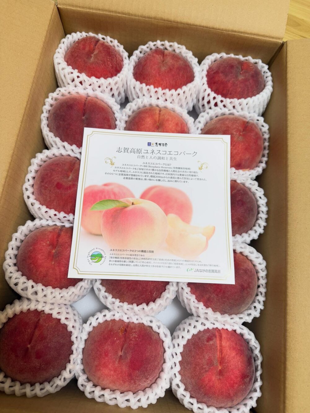 志賀高原水蜜桃🍑