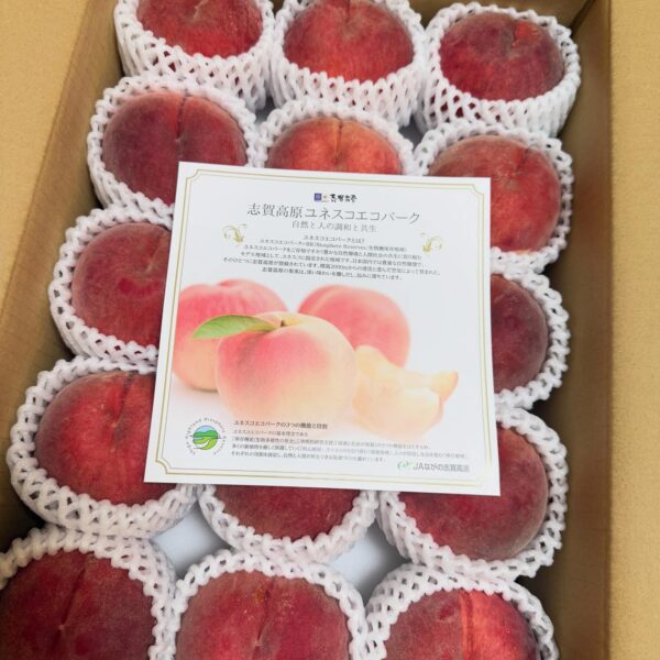 IMG_0130 志賀高原水蜜桃🍑