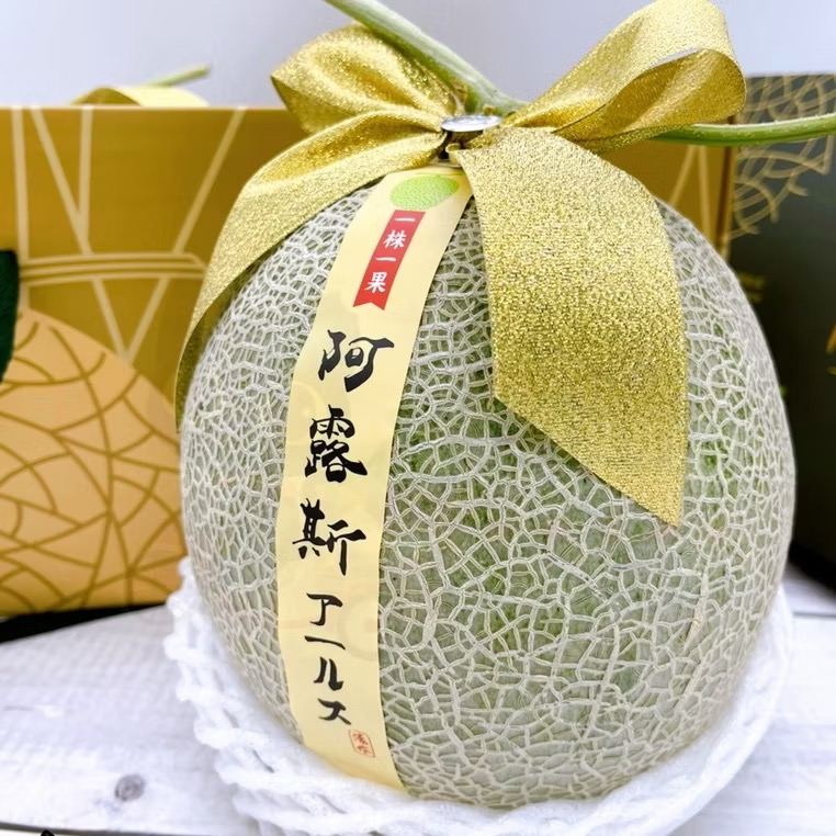 IMG_0144 溫室阿露斯綠肉哈密瓜