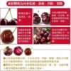 🍒 Frui 香頌・智利櫻桃禮盒(1公斤/1.5公斤/2.5公斤)