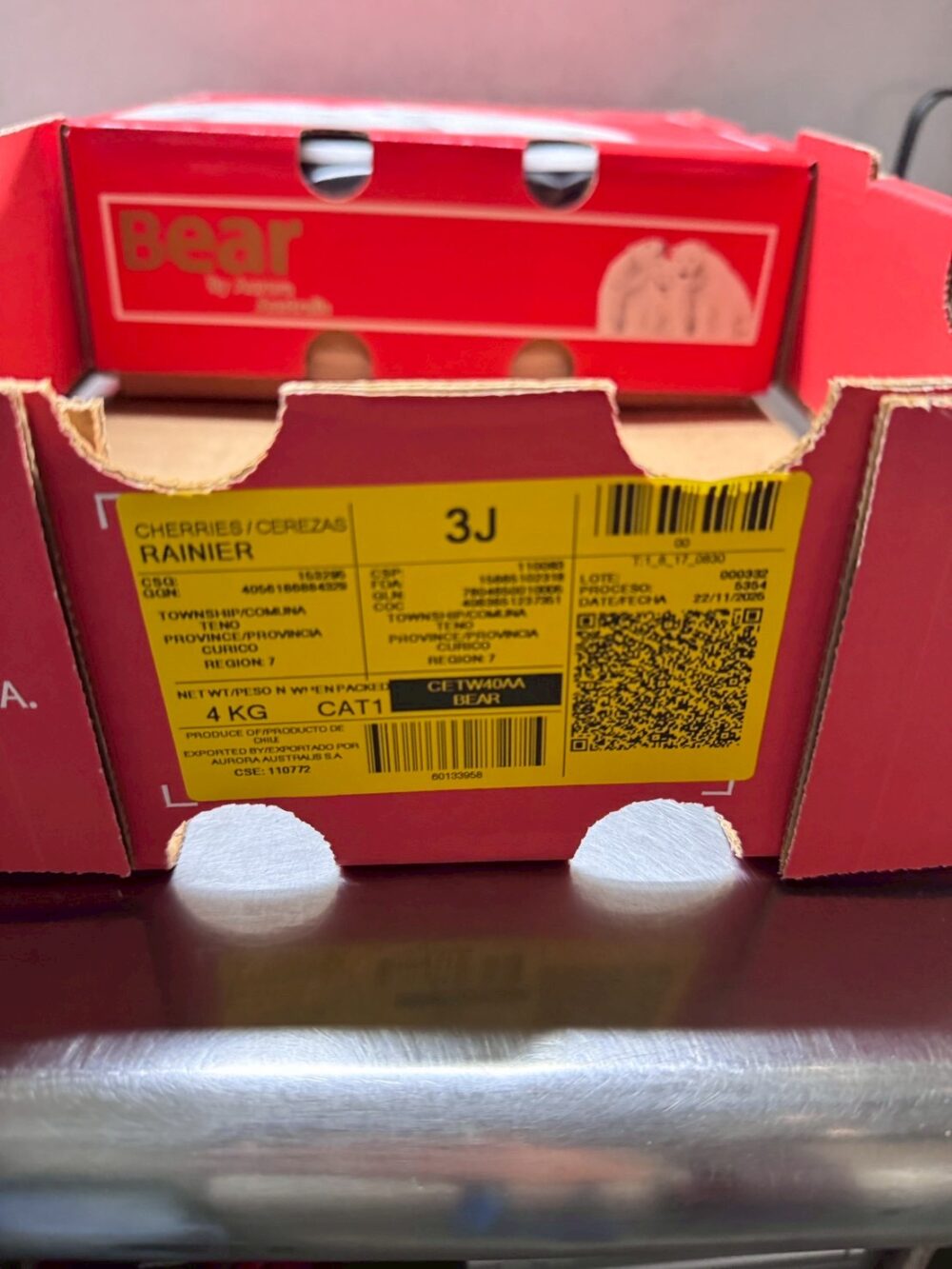 IMG_1706 智利白熊白櫻桃