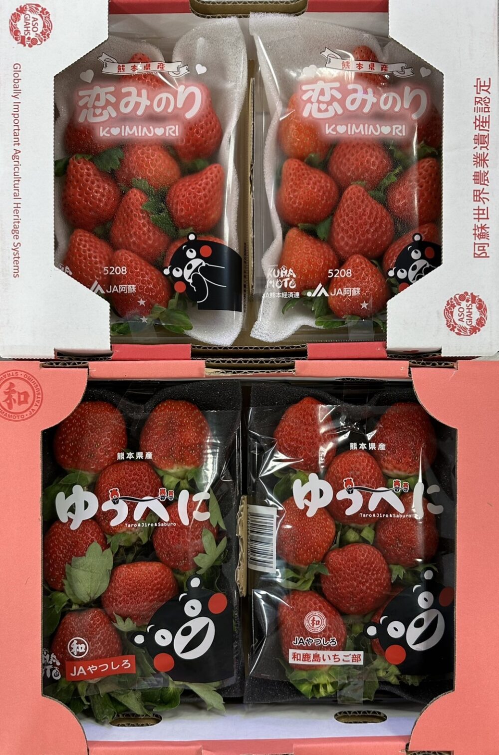 IMG_2013 熊本草莓