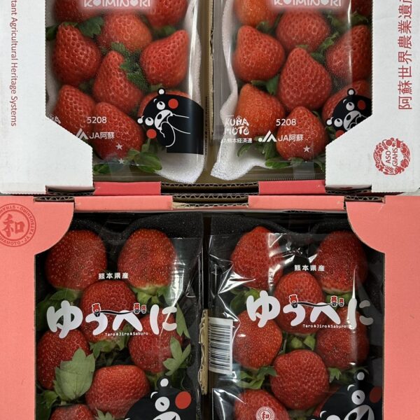 熊本草莓