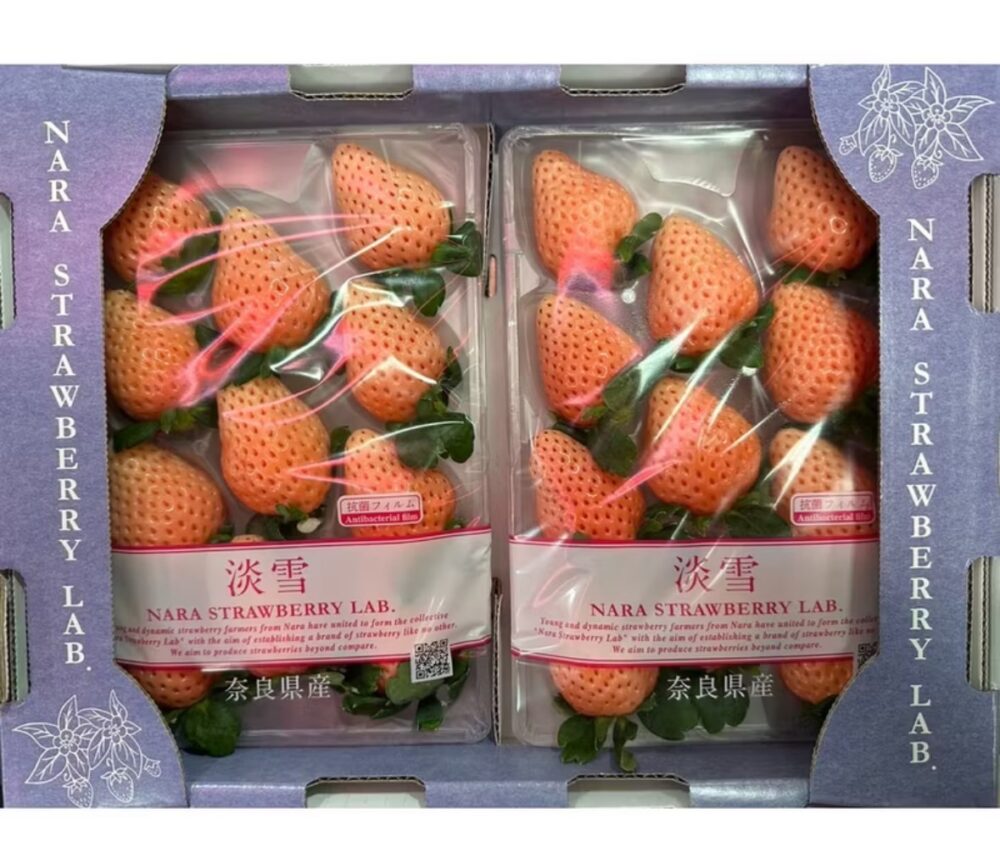 古都華草莓/淡雪/雙色草莓